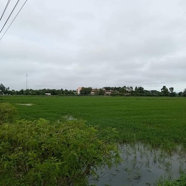 Kamphaeng Phet