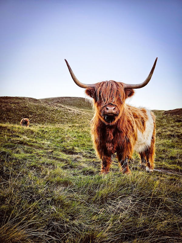 Pentland Hills Regional Park 3
