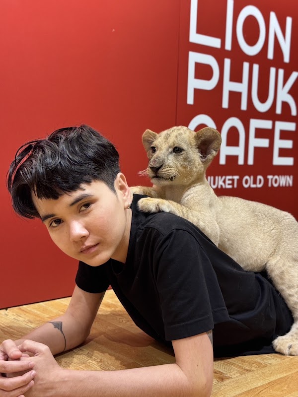 LION PHUKET CAFE 3