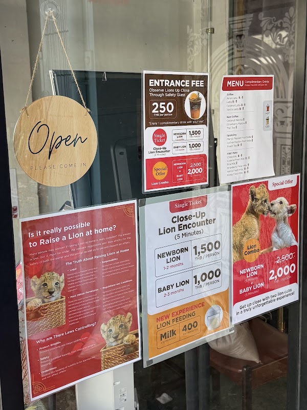 LION PHUKET CAFE 2