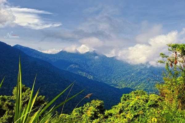 Đèo Bảo Lộc