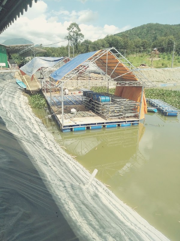 Đèo Bảo Lộc 4