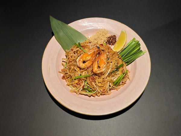 Thai Elephant 5