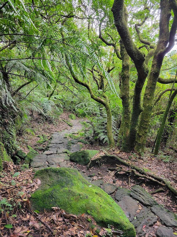 Mount Qixing Miaopu Trailhead 3