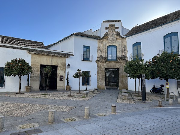Palacio de Viana 5