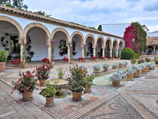 Palacio de Viana 4