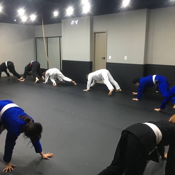 Trap Jujitsu