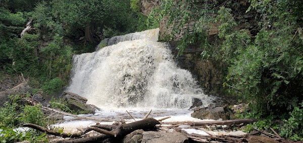 Jones Falls 1