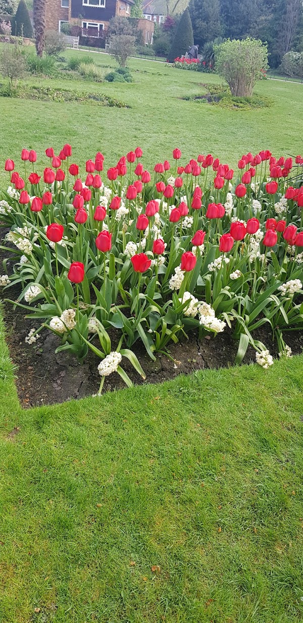 Queen's Park