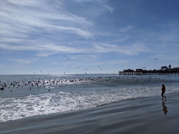 Capitola Beach 4