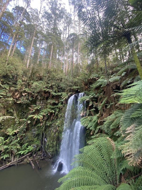 Beauchamp Falls 5