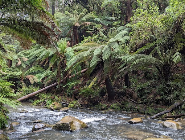 Beauchamp Falls 3