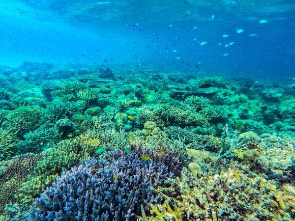 Pulau Sibuan 5