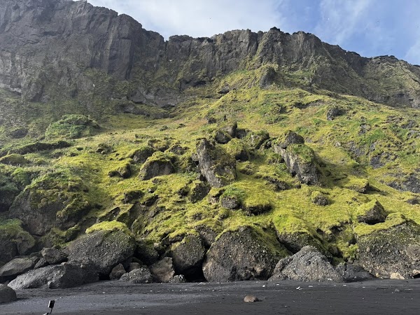 Víkurfjara Black Sand Beach 5