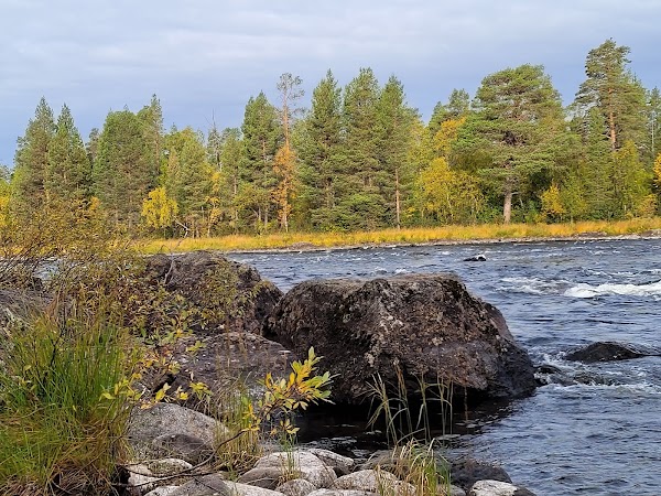 Inari