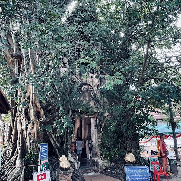 Wat Bang Kung 5