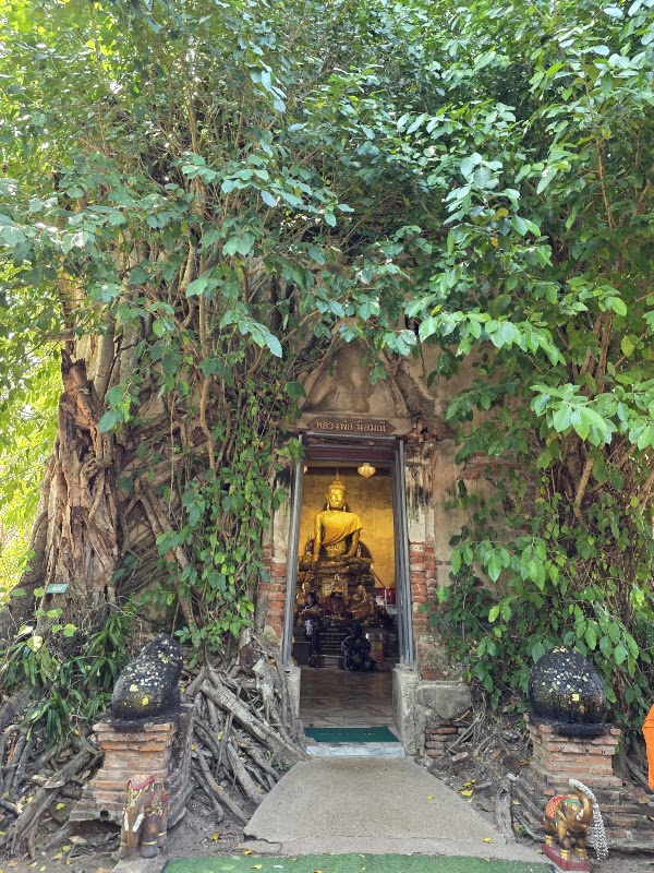 Wat Bang Kung 4