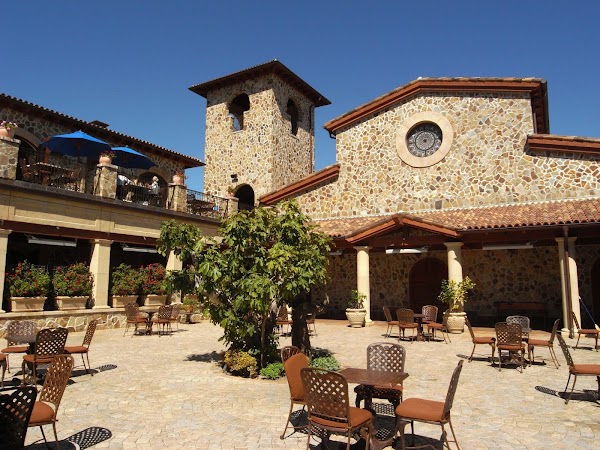 Jacuzzi Family Vineyards 5