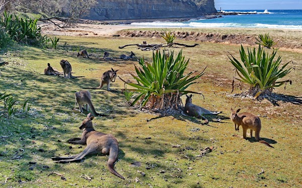 Pebbly Beach