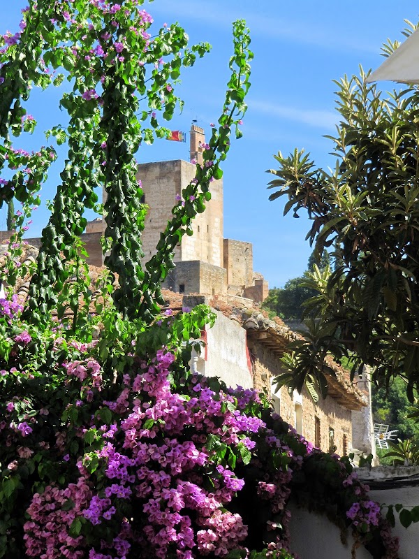 Albaicín 3