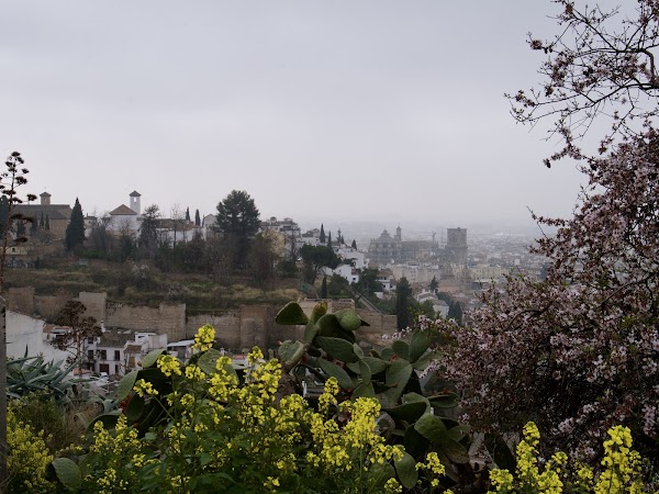Albaicín 2
