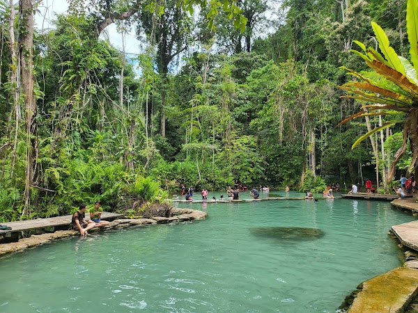Headwater forest, Ban Nam Rad