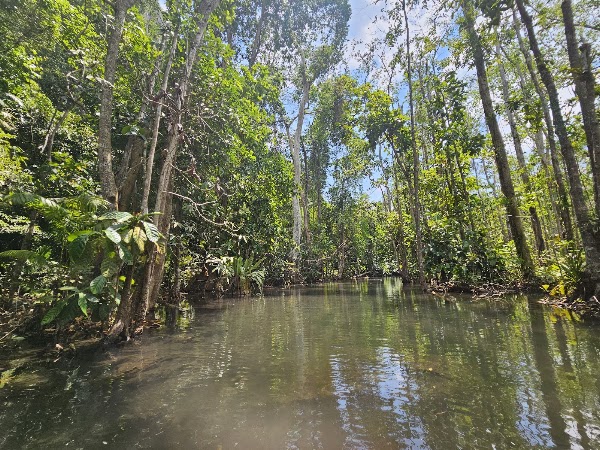 Headwater forest, Ban Nam Rad 4