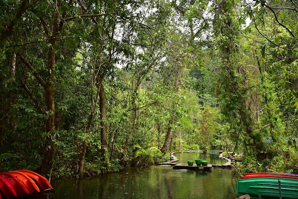 Headwater forest, Ban Nam Rad 3