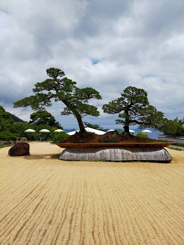 ACAO FOREST 3