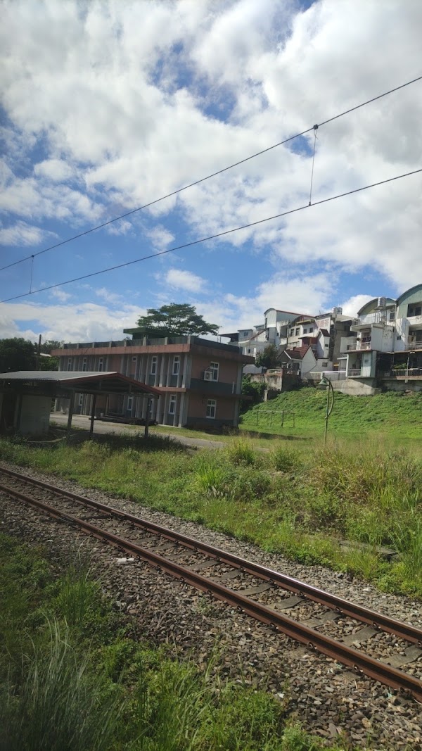 Luye Township