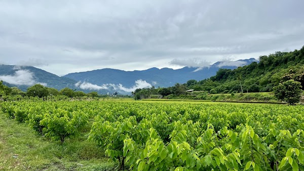 Luye Township 2