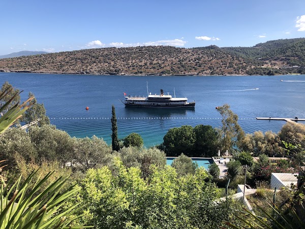 Villa Maçakızı 1