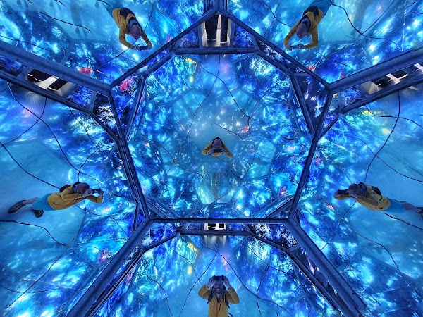 The Cosmic Room