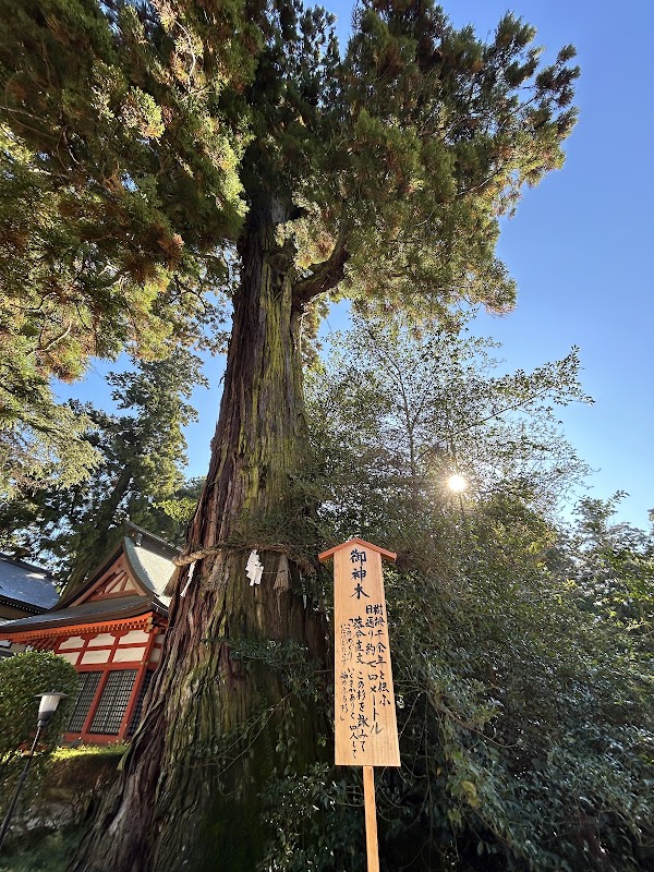 Katori-Jingu Shrine 3