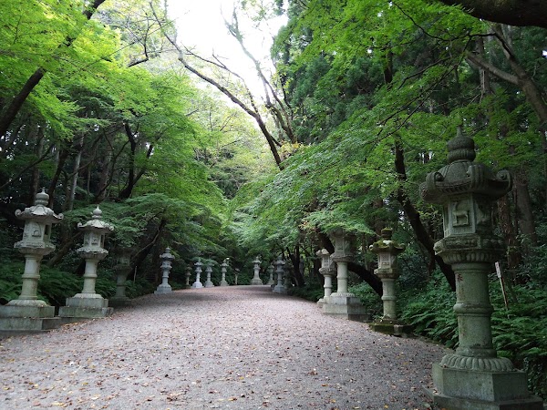 Katori-Jingu Shrine 2