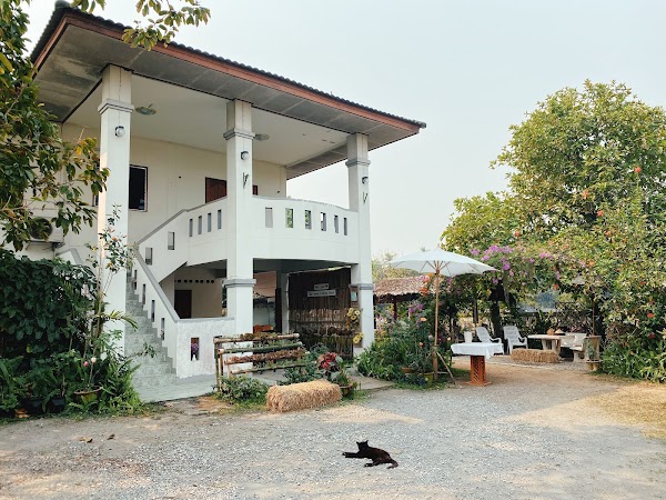 Thai Secret Cooking School 3