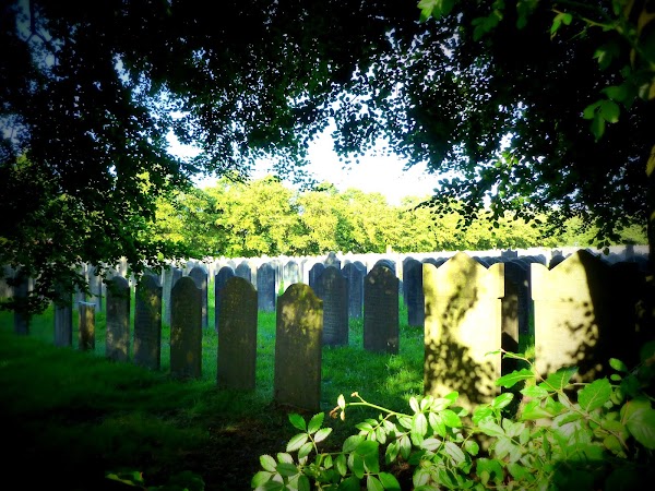 Jewish Cemetery of Diemen