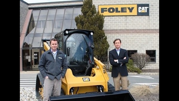 Foley Cat - Hammonton