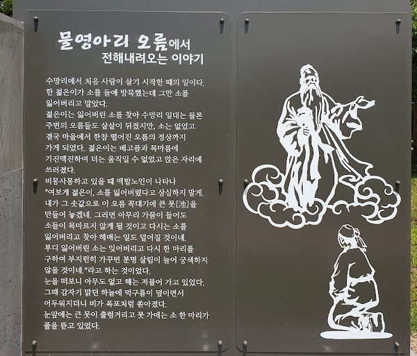 물영아리오름 4