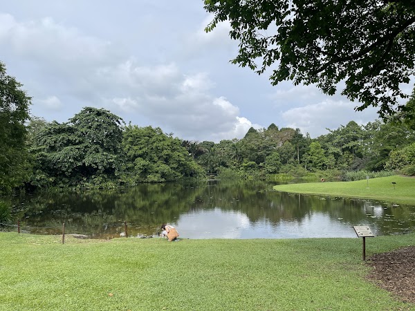 Singapore Botanic Gardens Eco Lake