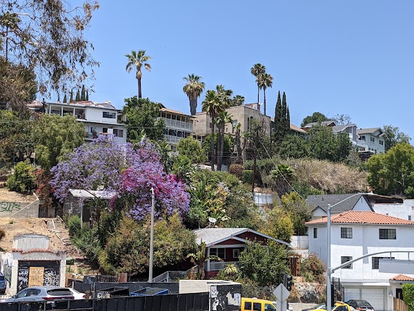 Silver Lake Reservoir 3