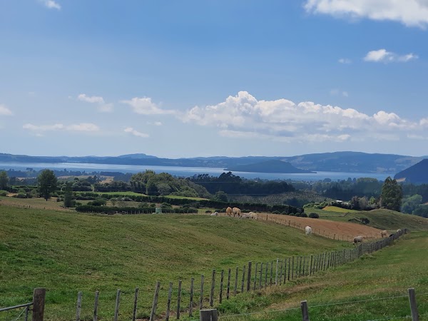 Rotorua RailCruising