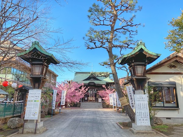 Sakura Shrine 5