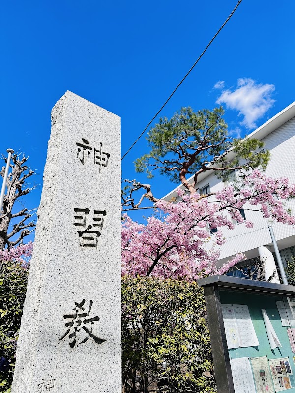 Sakura Shrine 4