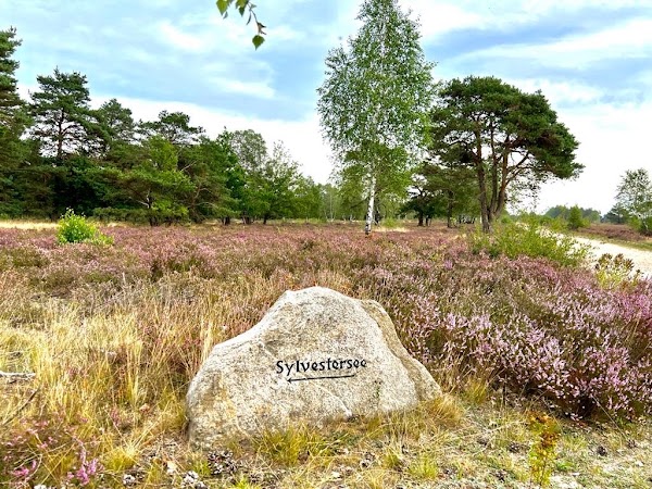 Osterheide