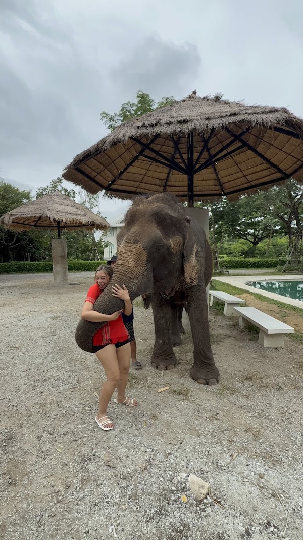 Bangkok Elephant Park