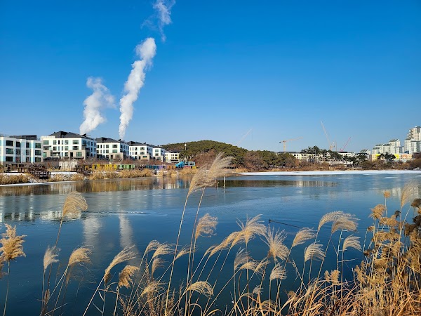 Dongtan Lake Park 3