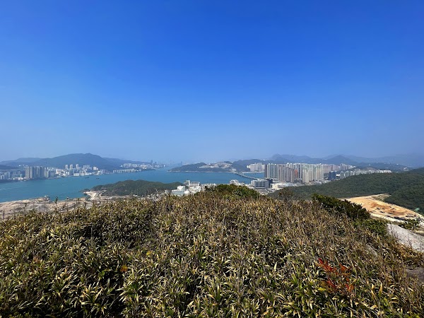 Tin Ha Shan 5