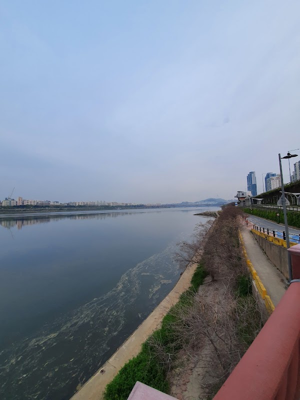 Cheonggu Apartments Underpass, Hangang Park 1