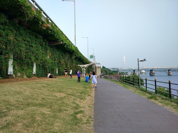 Cheonggu Apartments Underpass, Hangang Park 4